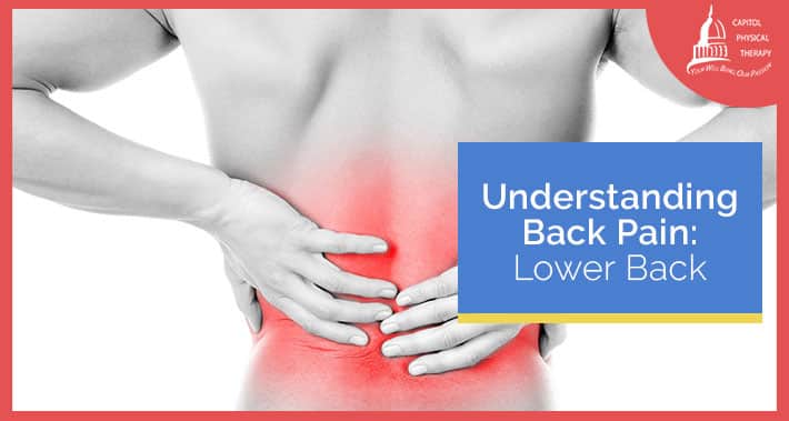 Understanding Back Pain: Lower Back Pain | Capitol Physical Therapy Washington DC | Pain & Injury Management