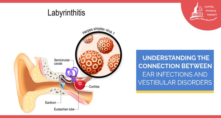 Understanding The Connection Between Ear Infections And Vestibular Disorders | Capitol Physical Therapy | Washington DC Physical Therapists