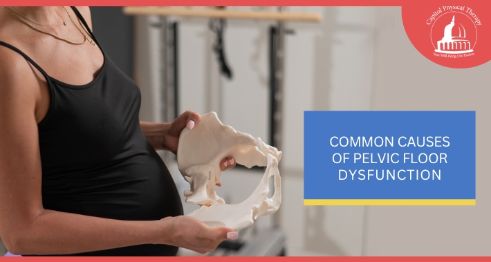 Common Causes Of Pelvic Foor Dysfunction | Capitol Physical Therapy | Washington DC Physical Therapists